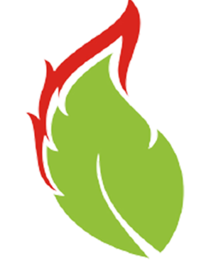 IMP INDUSTRIES Logo